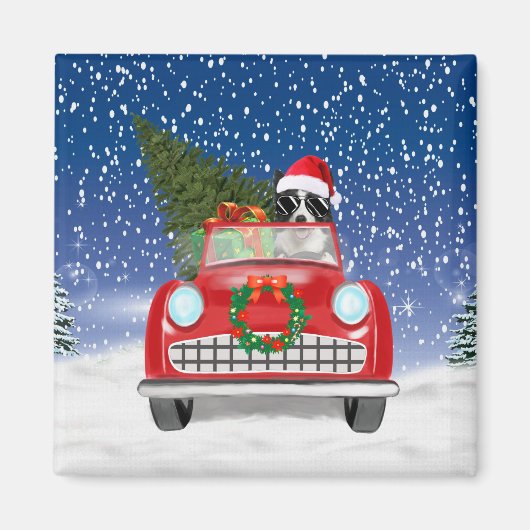 Grenz Collie Dog Auto fahren im Schnee Weihnachten Magnet (Vorne)