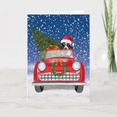 Grenz Collie Dog Auto fahren im Schnee Weihnachten Programm (Vorderseite)