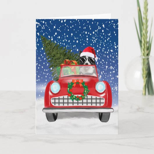 Grenz Collie Dog Auto fahren im Schnee Weihnachten Programm (Vorderseite)