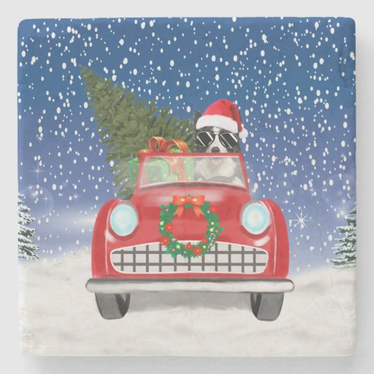 Grenz Collie Dog Auto fahren im Schnee Weihnachten Steinuntersetzer (Vorderseite)