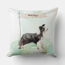 Grenz Collie Gratulation zum neuen Hund