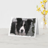 Grenz-Collie-Grußkarte Karte (Gelbe Blume)