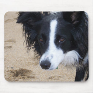 Grenz-Collie-Mauspad Mousepad