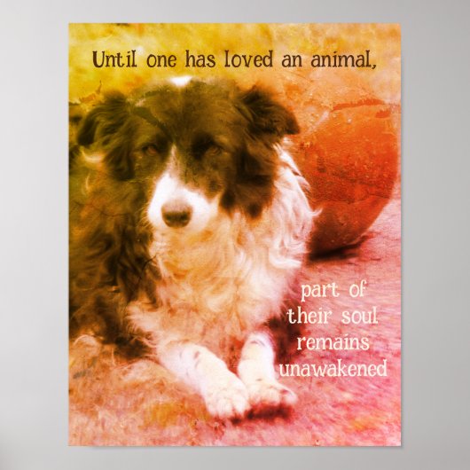 Grenz-Collie und Ball Hunde Kunst Inspiration Poster (Vorne)