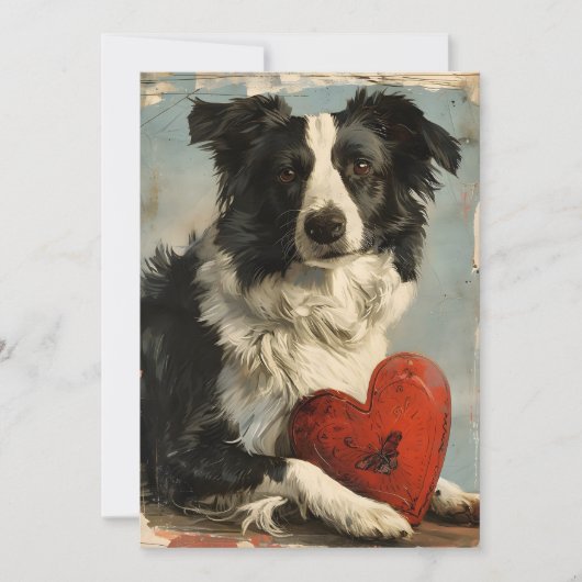 Grenz-Collie-Vintager Valentinstag Feiertagskarte (Vorderseite)