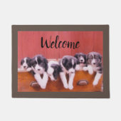 Grenz-Collie-Welpen in Schublade Willkommen Fußmatte (Vorderseite)