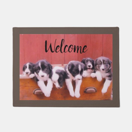 Grenz-Collie-Welpen in Schublade Willkommen Fußmatte (Vorderseite)