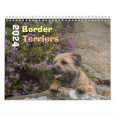 Grenz-Terrier-Hund, mittel, weißer Kalender (Titelbild)