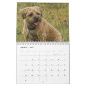 Grenz-Terrier-Hund, mittel, weißer Kalender (Jan 2027)