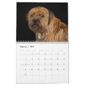Grenz-Terrier-Hund, mittel, weißer Kalender (Feb 2027)