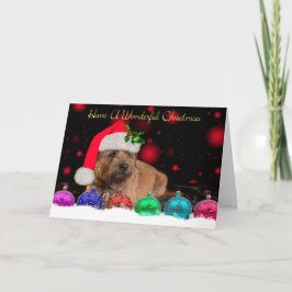 Grenz Terrier in Weihnachtsmannmütze Weihnachtskar Feiertagskarte