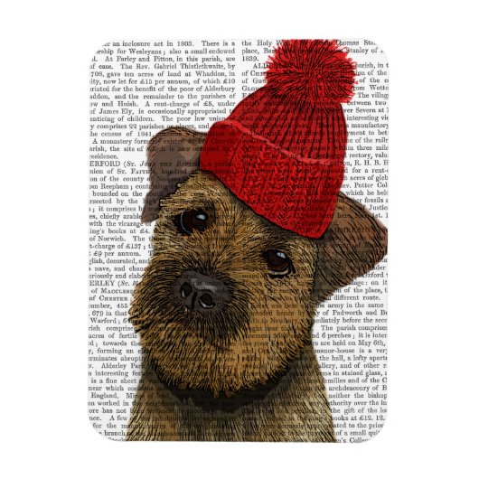 Grenz-Terrier mit Red Bobble Hat 3 Magnet (Vertikal)