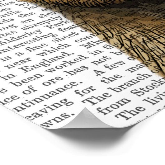 Grenz-Terrier mit Red Bobble Hat Poster (Ecke)