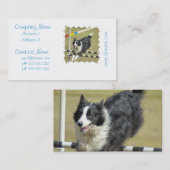 Grenzcollie-Agility-Geschäfts-Karten Visitenkarte (Vorne/Hinten)