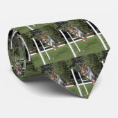 Grenzcollie-Agility-Hund springen Krawatte (Gerollt)