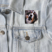 GRENZCOLLIE BUTTON (Beispiel)