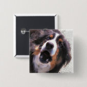 GRENZCOLLIE BUTTON (Vorne & Hinten)