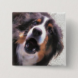 GRENZCOLLIE BUTTON