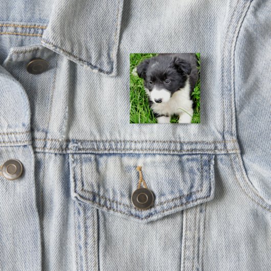 GRENZCOLLIE BUTTON (Beispiel)