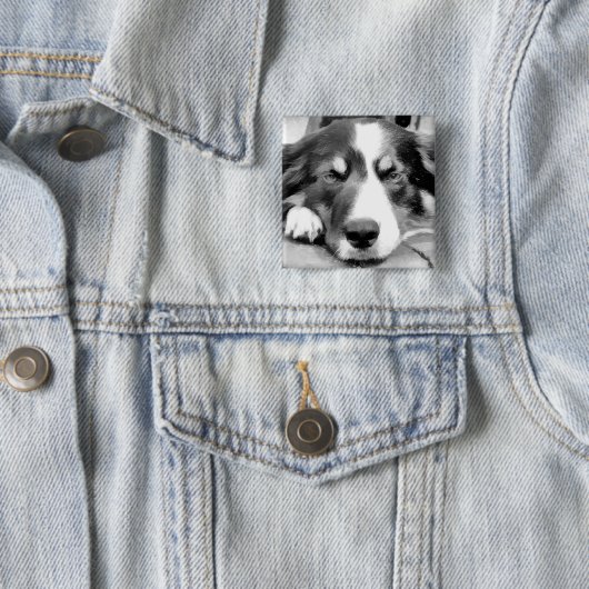 GRENZCOLLIE BUTTON (Beispiel)