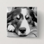 GRENZCOLLIE BUTTON (Vorderseite)