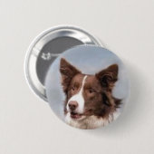 Grenzcollie-Button Button (Vorne & Hinten)