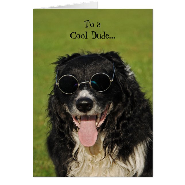 Grenzcollie-coole Typ-Karte (Vorne)