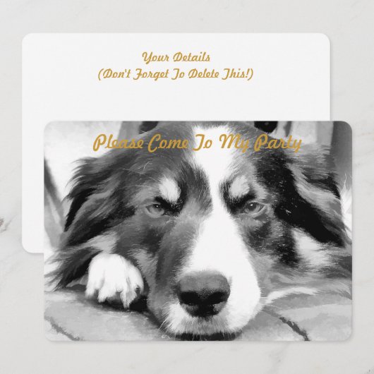 GRENZCOLLIE EINLADUNG (Vorne/Hinten)