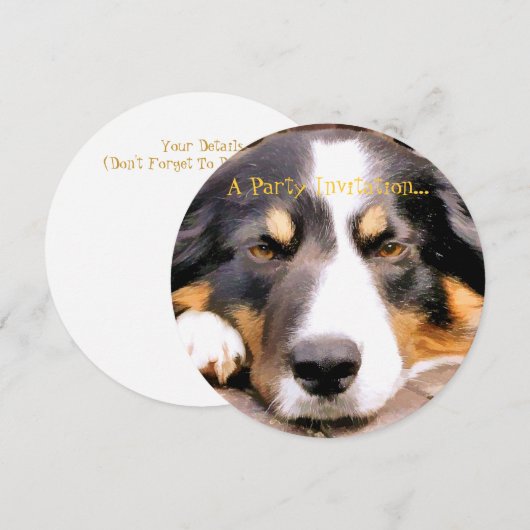 GRENZCOLLIE EINLADUNG (Vorne/Hinten)