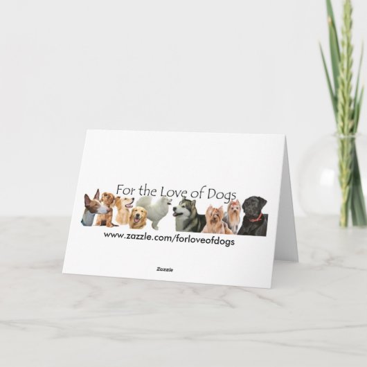 Grenzcollie-Erntedank-Karte Feiertagskarte (Rückseite)