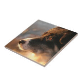 Grenzcollie-Foto-Fliese Fliese (Seite)