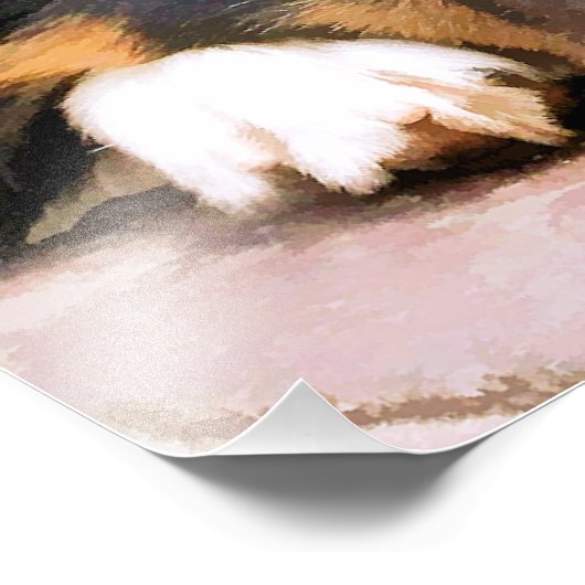 GRENZCOLLIE FOTODRUCK (Ecke)