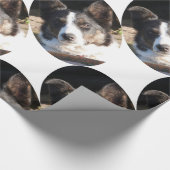 GRENZCOLLIE GESCHENKPAPIER (Ecke)