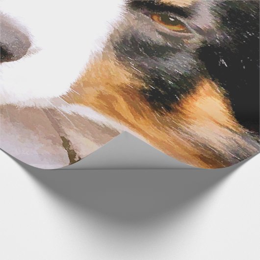 GRENZCOLLIE GESCHENKPAPIER (Ecke)