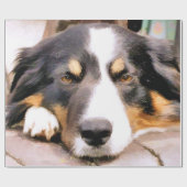 GRENZCOLLIE GESCHENKPAPIER (Flach)