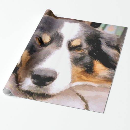 GRENZCOLLIE GESCHENKPAPIER (Ungerollt)