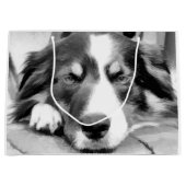 GRENZCOLLIE GROßE GESCHENKTÜTE (Vorderseite)