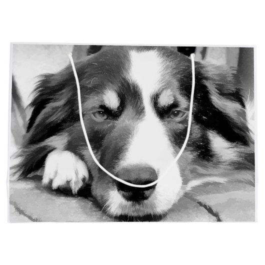 GRENZCOLLIE GROßE GESCHENKTÜTE (Rückseite)