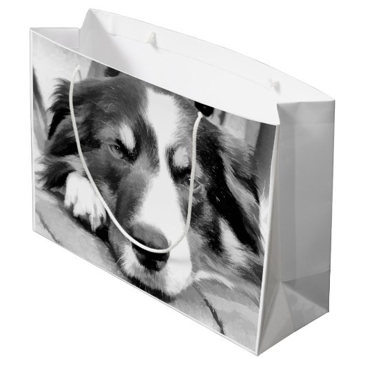 GRENZCOLLIE GROßE GESCHENKTÜTE (Rückseite Schrägansicht)