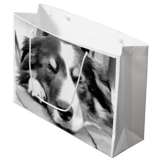 GRENZCOLLIE GROßE GESCHENKTÜTE (Vorderseite Schrägansicht)