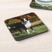 Grenzcollie-Herbst stehend Getränkeuntersetzer (Linke Seite)