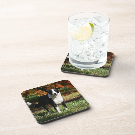 Grenzcollie-Herbst stehend Getränkeuntersetzer (Rechte Seite)