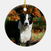 Grenzcollie-Herbst stehend Keramik Ornament (Hinten)
