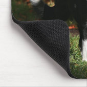 Grenzcollie-Herbst stehend Mousepad (Ecke)