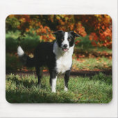 Grenzcollie-Herbst stehend Mousepad (Vorne)
