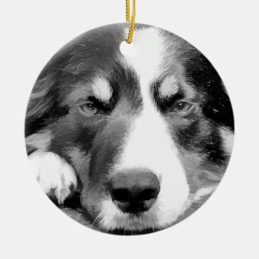 GRENZCOLLIE KERAMIK ORNAMENT (Vorne)