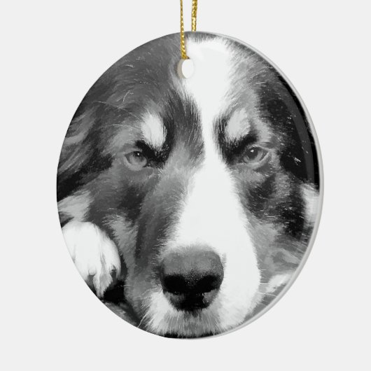 GRENZCOLLIE KERAMIK ORNAMENT (Links)
