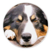 GRENZCOLLIE KERAMIKKNAUF (Vorderseite)