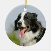 Grenzcollie-Keuchen stehend Keramikornament (Vorne)