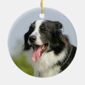 Grenzcollie-Keuchen stehend Keramikornament (Hinten)
